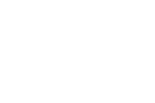 Lamina logo white